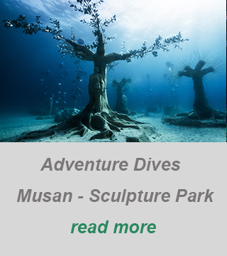 private guided dive-musan underwater park-padi divecenter