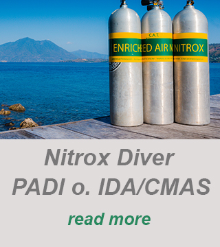 padi divecenter-nitrox-online scuba course