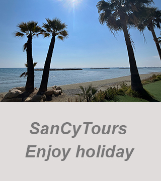 sancytours travel and holiday