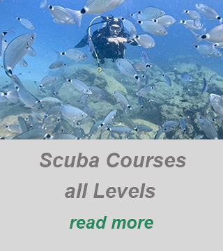 private scuba guide-padi divecenter cyprus-best dive spots cyprus dive in larnaca