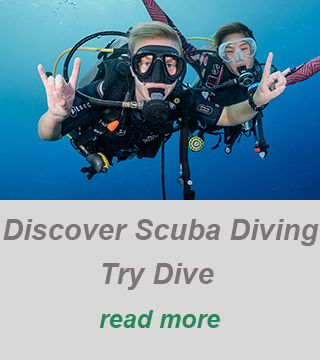 private dive guide discover scuba diving dive in larnaca-try dive