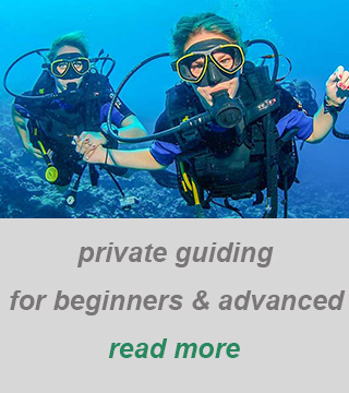 private scuba guide-best dive spot cyprus-dive in larnaca-padi divecenter