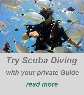 private dive guide cyprus-discover scuba diving cyprus-individual dive in larnaca