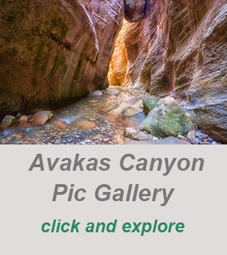 cyprus canyon tour,avakas gorge private guide