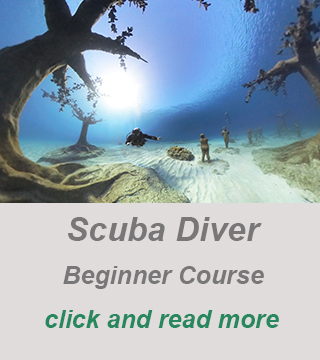 private scuba diver guide, private dive course cyprus