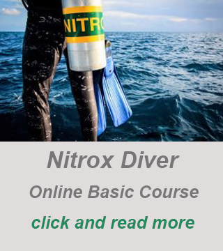 private scuba diver guide, private dive course cyprus