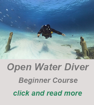 private scuba diver guide, private dive course cyprus