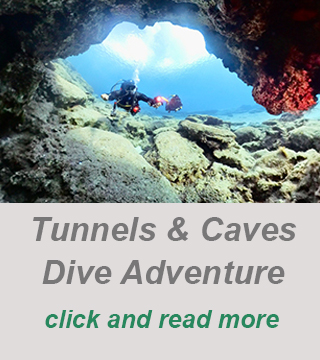 private scuba dive, dive in larnaca,cyprus best dive spot