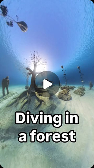 private scuba dive,musan cyprus,try dive cyprus