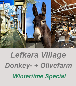 private tour guide cyprus-lefkara village,donkey farm,olive farm